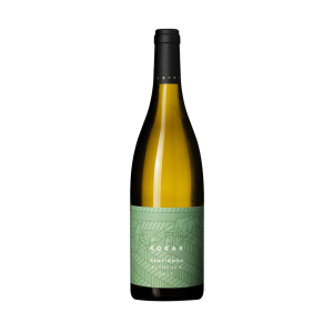 Korak SAUVIGNON klemenka 2024