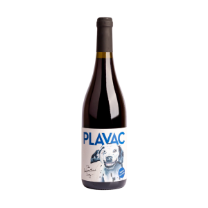 Testament The Damatian Dog Plavac mali 2020